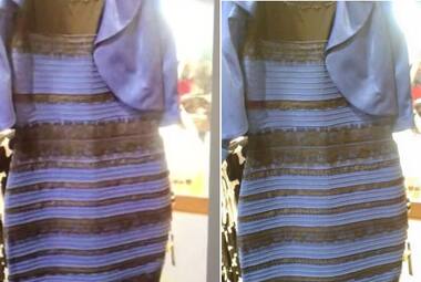 The Internet's latest obsession: White and gold or blue and black? What colour is #TheDress?