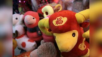 Fortune tellers predict plane crashes, accidents as China rings in year of the sheep