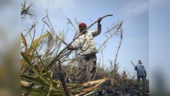 Full text: Economic Survey 2012