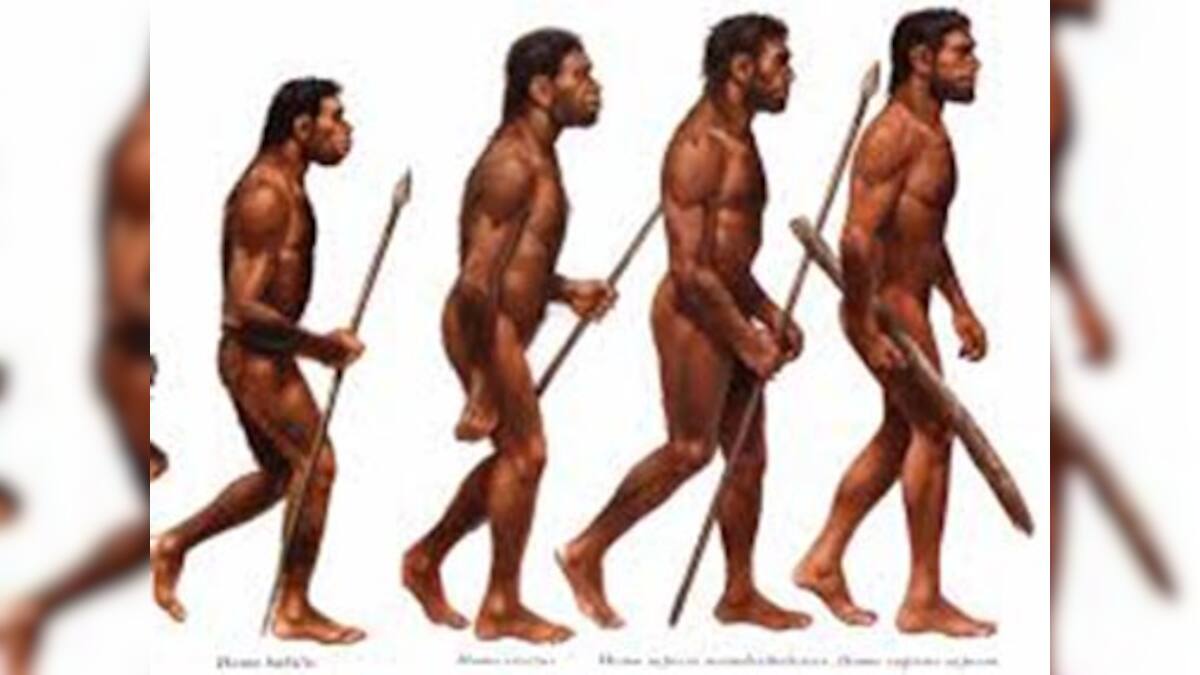 Did researchers just find a new primitive human species? – Firstpost