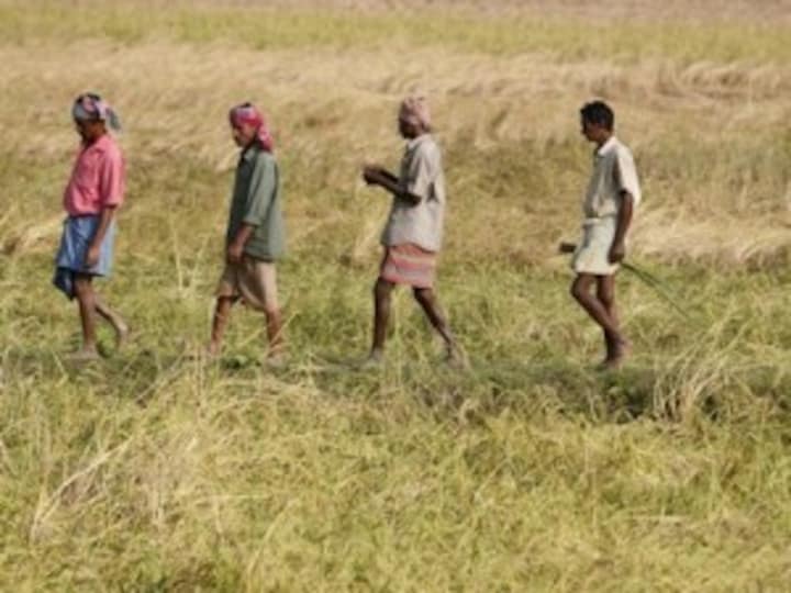 Budget 2015: Govt raises farm credit target to Rs 8.5 lakh cr for 2015-16