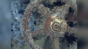 Microsoft co-founder Paul Allen says he's found sunken Japan WWII battleship Musashi