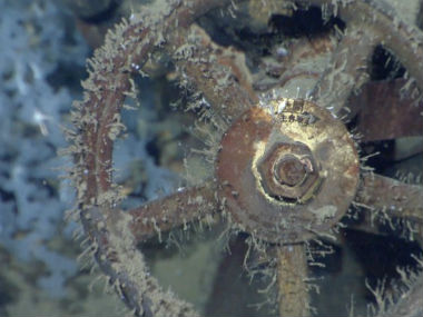 Microsoft co-founder Paul Allen says he's found sunken Japan WWII battleship Musashi Microsoft co-founder Paul Allen says he's found sunken Japan WWII battleship Musashi