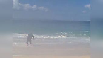 Watch: Man catches tiger shark using nothing but a hand reel