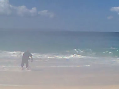 Watch: Man catches tiger shark using nothing but a hand reel Watch: Man catches tiger shark using nothing but a hand reel