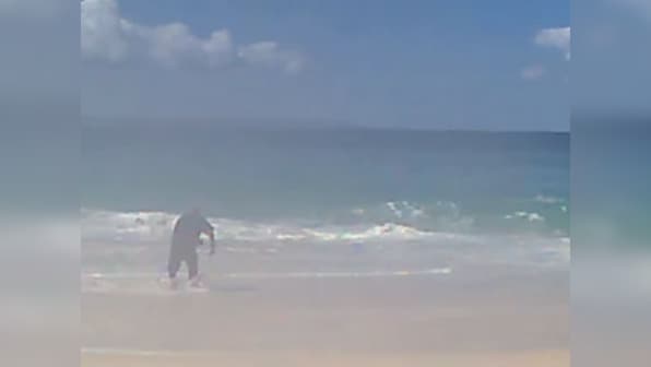 Watch: Man catches tiger shark using nothing but a hand reel