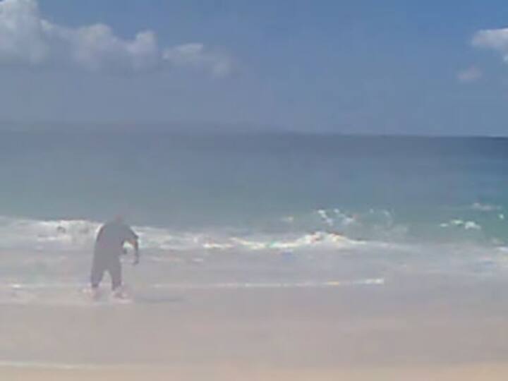 Watch: Man catches tiger shark using nothing but a hand reel