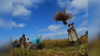 Farm lending in India is a puzzle; FM must solve it before giving targets for banks