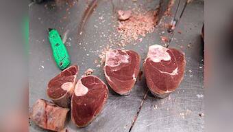 BJP acts to end beef shortage in Goa: Starts importing meat from Maharashtra, Karnataka
