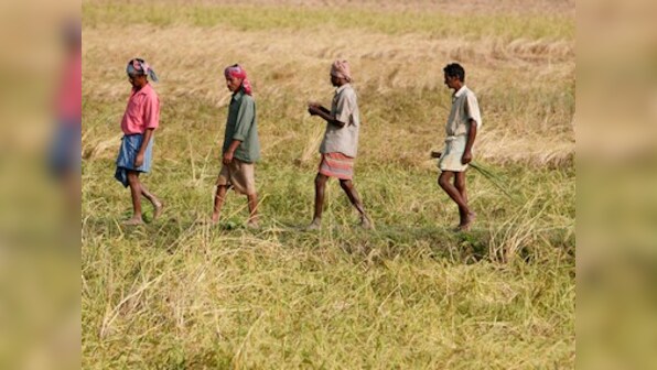Modi govt bets on satellite imaging to boost crop production 