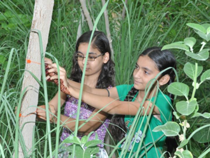 Celebrating girl child: Here's what India can learn from Rajasthani village, Piplantri Celebrating girl child: Here's what India can learn from Rajasthani village, Piplantri