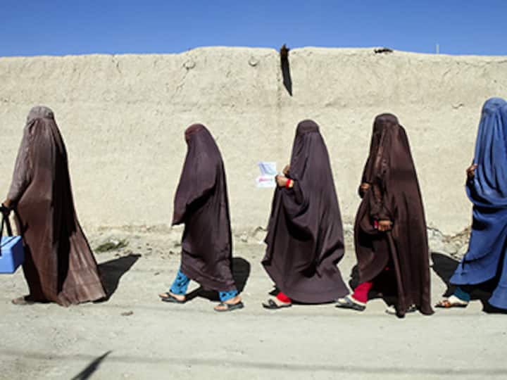 Afghan women activists face rising violence, says Amnesty Afghan women activists face rising violence, says Amnesty