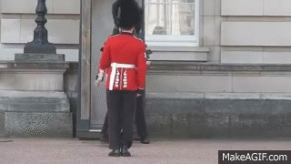 You're not alone: The Buckingham Palace guard who tripped has Obama, Imran Khan for company You're not alone: The Buckingham Palace guard who tripped has Obama, Imran Khan for company