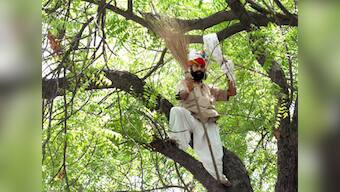 Are farmers' suicides in India hyped to divert funds, attract attention?