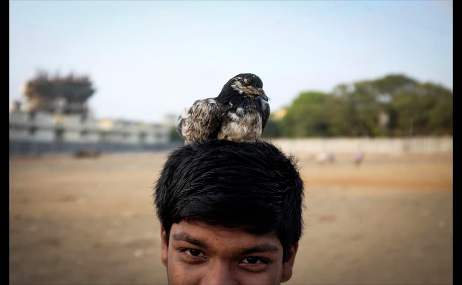 A boy rests his pet pigeon on his head as he plays with it in a slum in Mumbai April 28, 2014. REUTERS