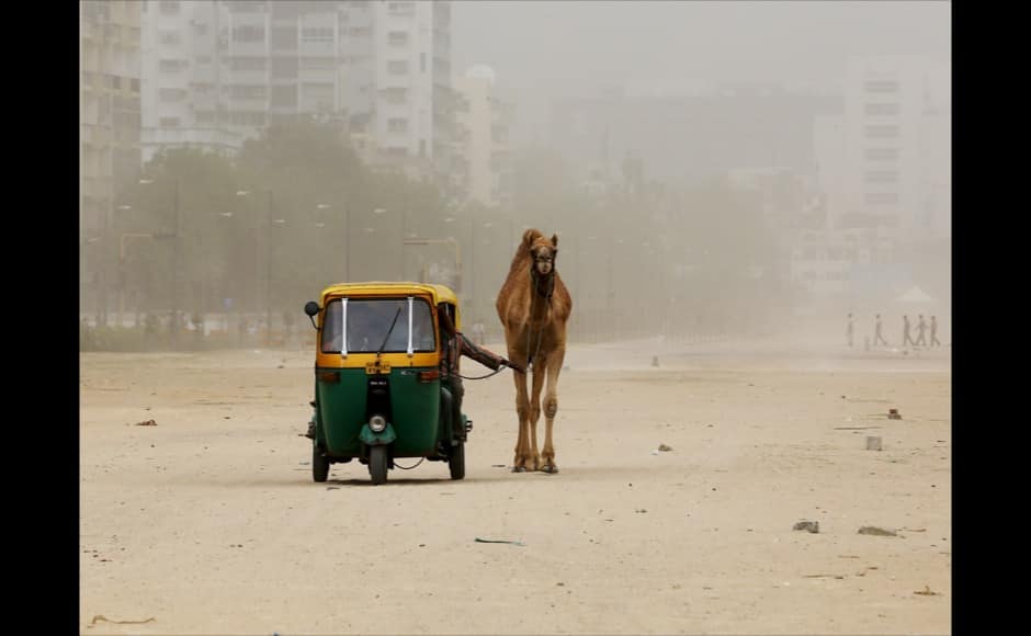 A man pulls his camel as he sits in an auto rickshaw during a dust storm in the western Indian city of Ahmedabad March 29, 2015. REUTERS
