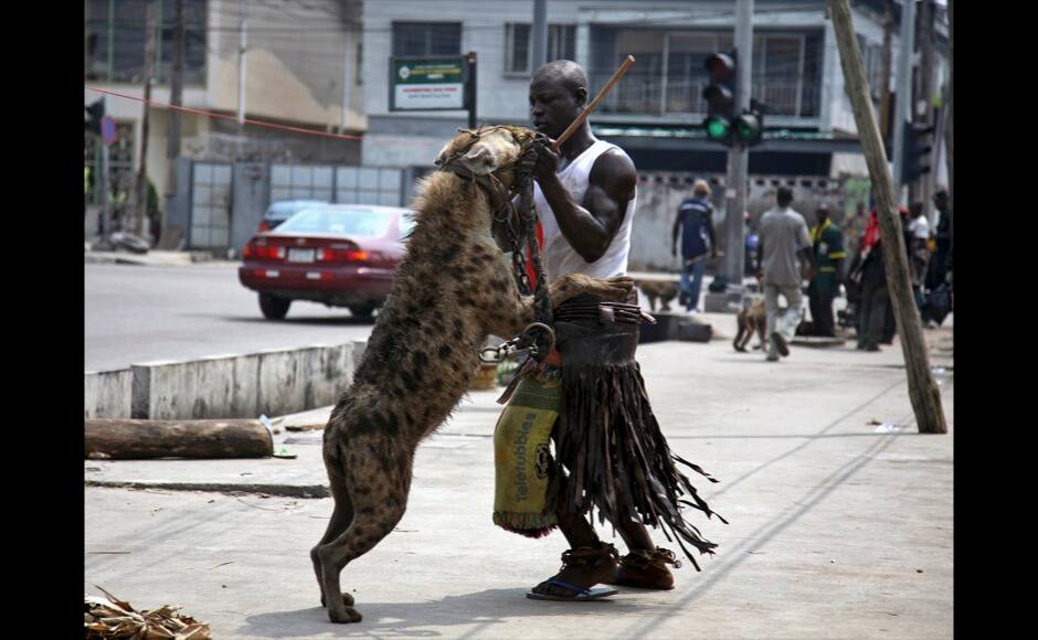 A man poses with a hyena along a street in Lagos, November 4, 2008. REUTERS