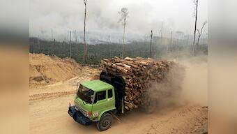 Parl Panel deplores cut in Green India Mission's funds, targets