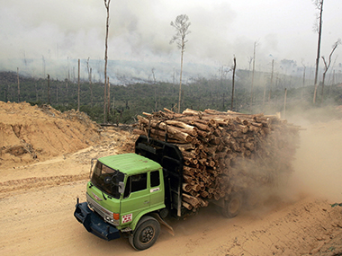 Parl Panel deplores cut in Green India Mission's funds, targets Parl Panel deplores cut in Green India Mission's funds, targets