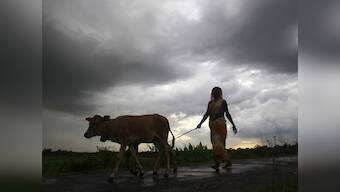 MET sees below normal rains: Here are the sectors, firms likely to be hit