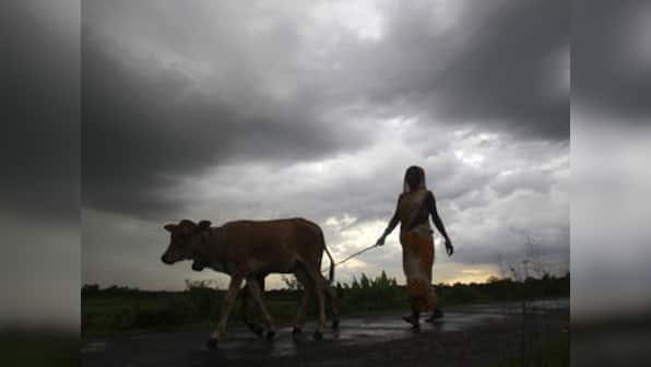 MET sees below normal rains: Here are the sectors, firms likely to be hit