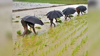 It's not all gloom and doom in agriculture: Innovation is leading the way for these farmers