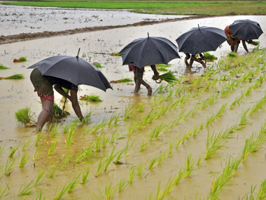 It's not all gloom and doom in agriculture: Innovation is leading the way for these farmers It's not all gloom and doom in agriculture: Innovation is leading the way for these farmers
