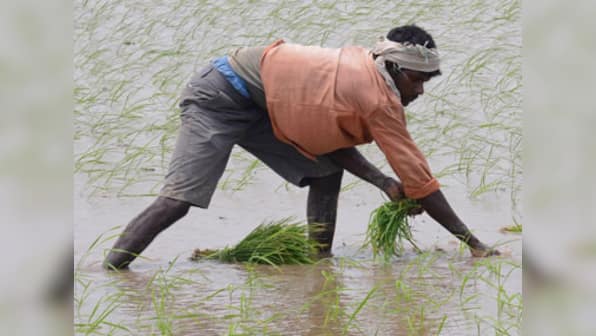 Maha BJP minister adds to Modi's Land Bill woes, says no evidence what drove farmers to suicide