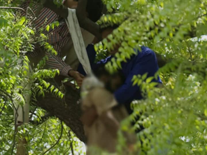 In Gajendra Singh's village there are more questions than answers: Suicide or accident?