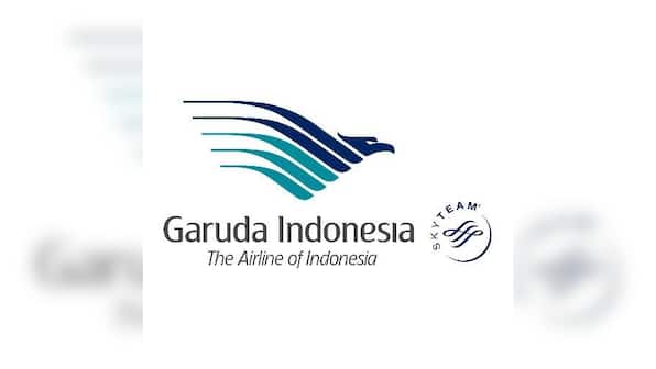Indonesian man survives flight to Jakarta clinging to landing gear