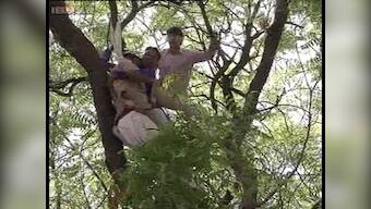 Farmer suicide: Blame games continue as Twitter jumps from #ShameOnKejriwal to #KillerKejriwal