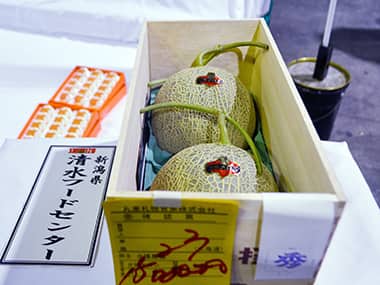 A single pair of Yubari melons with a price of 1.5 million yen (12,400 USD) . AFP