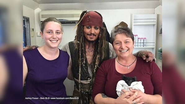 Aww! Johnny Depp adopts an orphaned bat, names it Jacki Sparrow