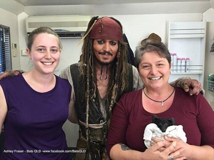 Aww! Johnny Depp adopts an orphaned bat, names it Jacki Sparrow