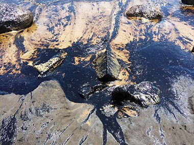 Oil pipeline spills off California coast, dumps 21,000 gallons of crude ...