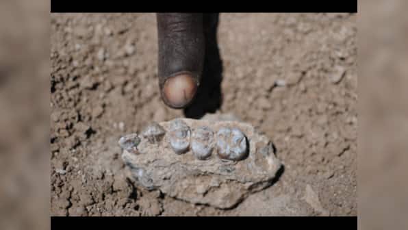 Lucy had company: Ethiopian fossils indicate new forerunner of humans 