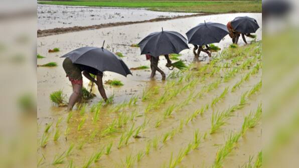 Skewed govt policies to declining yields: Do we really care about agriculture?