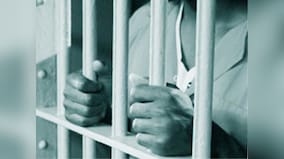 US: Indian-American student sentenced to life for stabbing friend