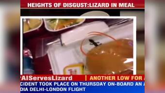 Is that a lizard? Flyer claims to find baby reptile in meal tray, Air India denies
