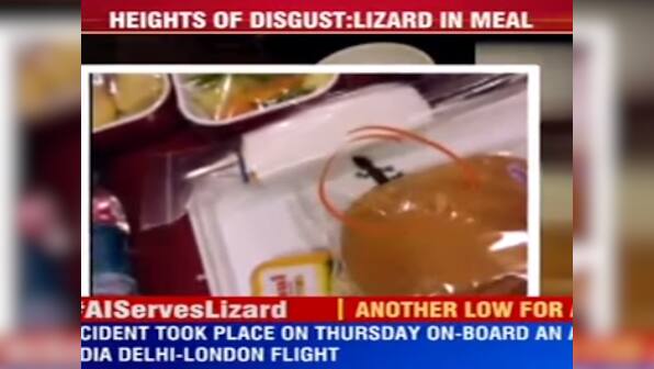 Is that a lizard? Flyer claims to find baby reptile in meal tray, Air India denies