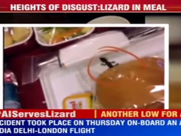 Is that a lizard? Flyer claims to find baby reptile in meal tray, Air India denies