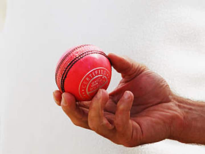 Pink ball cricket: 'I couldn't see the ball,' says Mitchell Starc as scepticism remains