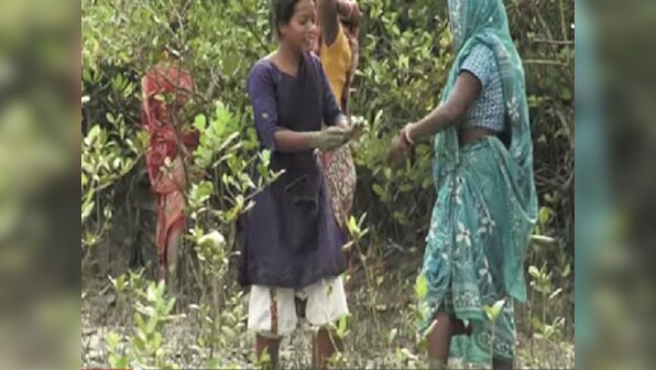Sunderbans' women turn photographers to capture effects of climate change 
