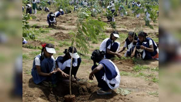 Plant trees sacred to Hindu culture in Mumbai please: Shiv Sena's latest demand