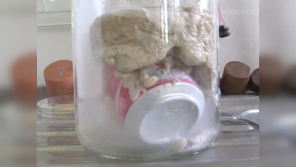 Watch: Scientists show you what happens when you put a Coke can into liquid nitrogen