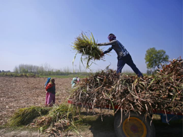 A farm loan bubble in the making: Public banks wouldn't love a good drought
