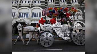 After HC ban, Mumbai to no longer have its iconic horse-drawn carriages
