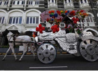 After HC ban, Mumbai to no longer have its iconic horse-drawn carriages After HC ban, Mumbai to no longer have its iconic horse-drawn carriages
