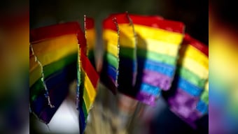 Apple, Microsoft, Google and other tech companies urge US court to address protection of LGBT employees within the law