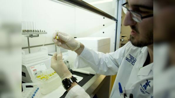 Guess what corrupts men? High levels of testosterone, says study